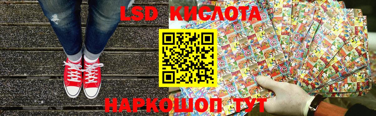 Галлюциногенные грибы Майский